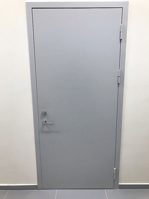 Одностворчатая глухая дверь Одностворчатая глухая дверь