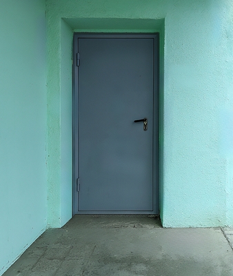 Дверь для жилого дома Дверь для жилого дома