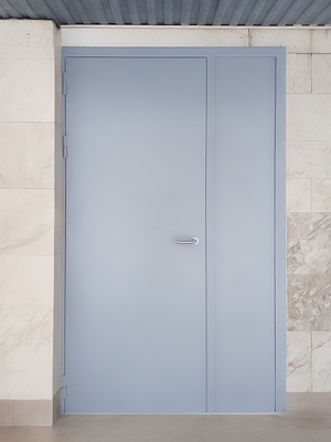 Дверь с боковой вставкой Дверь с боковой вставкой