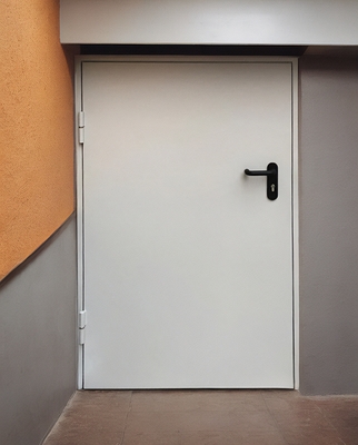 Нестандартная однопольная дверь Нестандартная однопольная дверь