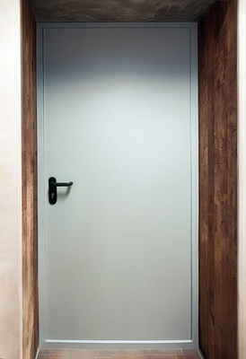 Дверь со сплошным полотном Дверь со сплошным полотном