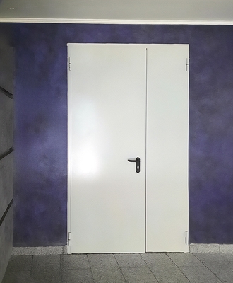 Стальная полуторапольная дверь Стальная полуторапольная дверь