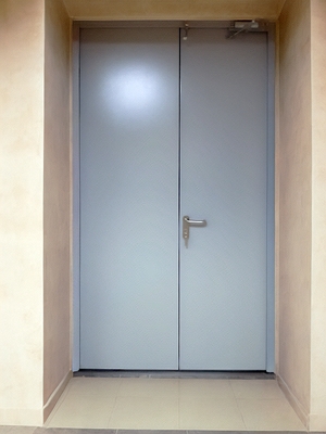 Двустворчатая стальная дверь Двустворчатая стальная дверь