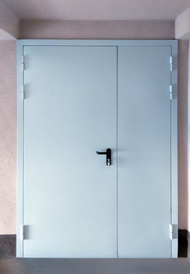 Дверь полуторной конструкции Дверь полуторной конструкции