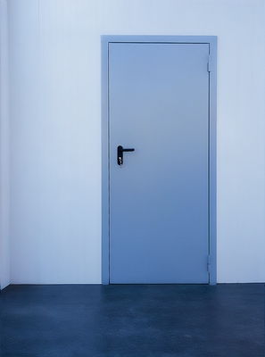 Огнезащитная стальная дверь Огнезащитная стальная дверь