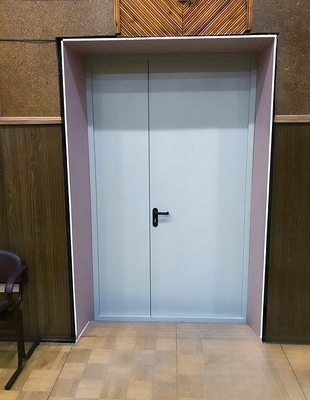 Глухая полуторная дверь Глухая полуторная дверь