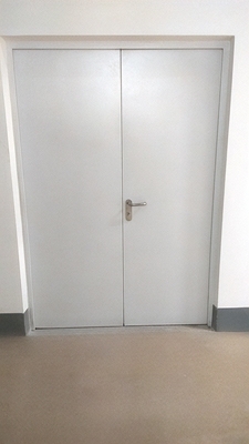 Глухая равностворчатая дверь Глухая равностворчатая дверь