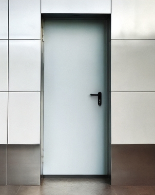 Глухая однопольная дверь Глухая однопольная дверь