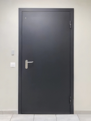 Дверь с покраской по RAL Дверь с покраской по RAL