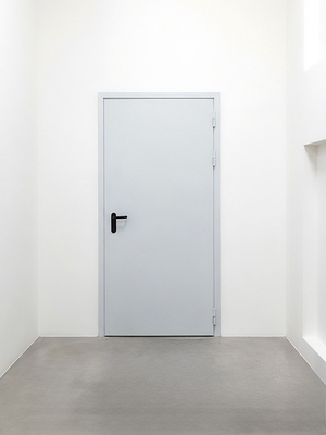 Однопольная пожаростойкая дверь Однопольная пожаростойкая дверь