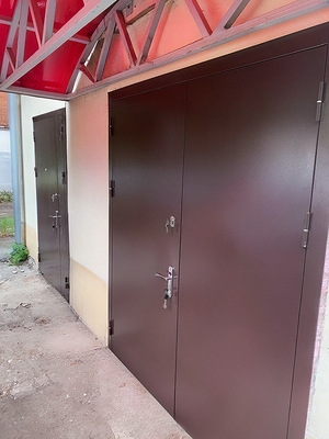 Коричневая двупольная дверь Коричневая двупольная дверь