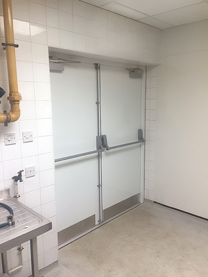 Двустворчатая дверь Антипаника с отбойниками Двустворчатая дверь Антипаника с отбойниками