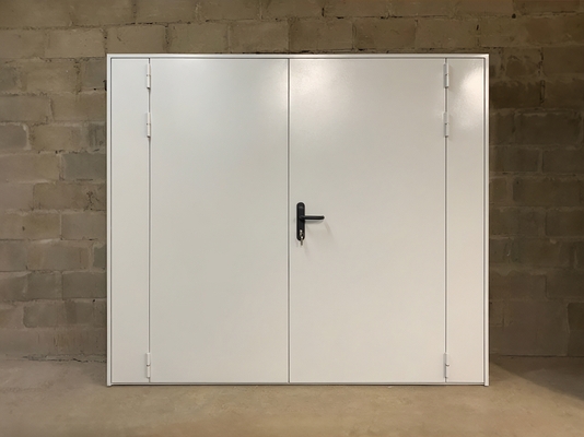 Двустворчатая дверь с боковыми вставками Двустворчатая дверь с боковыми вставками