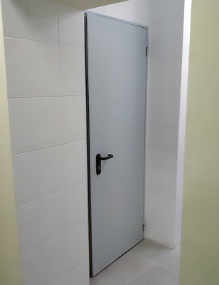 Глухая огнестойкая дверь Глухая огнестойкая дверь