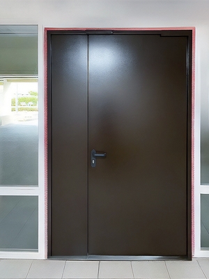 Стальная огнезащитная дверь Стальная огнезащитная дверь