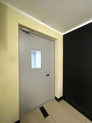 Тамбурная дверь с окном Тамбурная дверь с окном