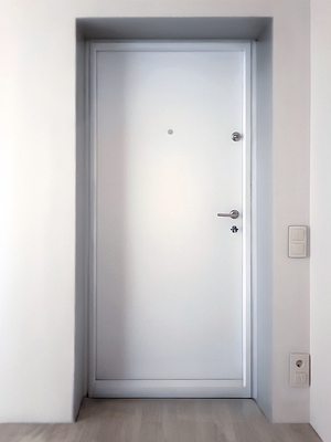 Техническая металлическая дверь Техническая металлическая дверь